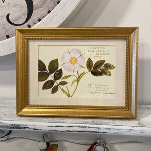 Petite Gallery Wall Gold Framed Vintage Inspired Print of a Desert Rose